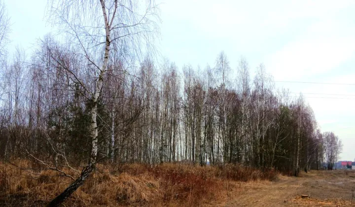 Działka budowlana Koryta