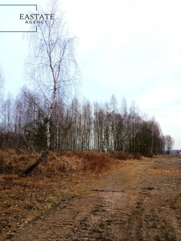 Działka budowlana Koryta. Zdjęcie 1