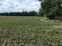 Działka rolno-budowlana Żukówka. Zdjęcie 1