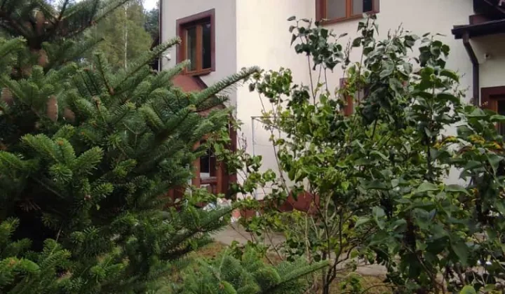 dom wolnostojący, 13 pokoi Bocheniec