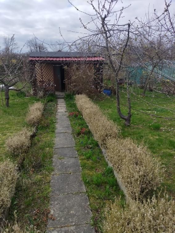 Działka leśna Kwidzyn. Zdjęcie 2