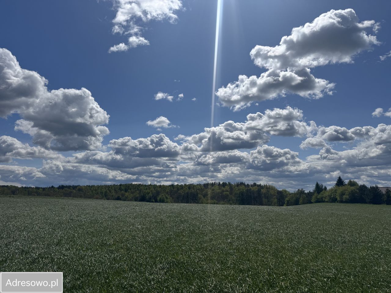 Działka budowlana Ustarbowo, ul. Lipowa. Zdjęcie 12