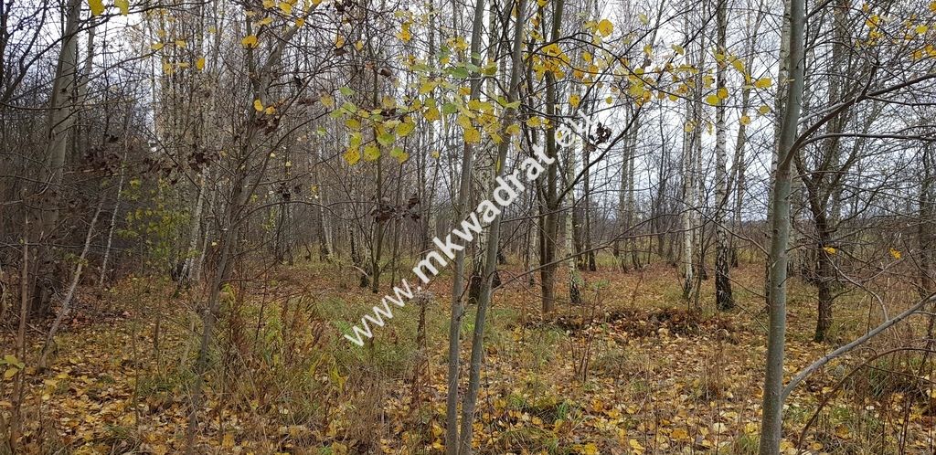 Działka budowlana Terenia. Zdjęcie 3