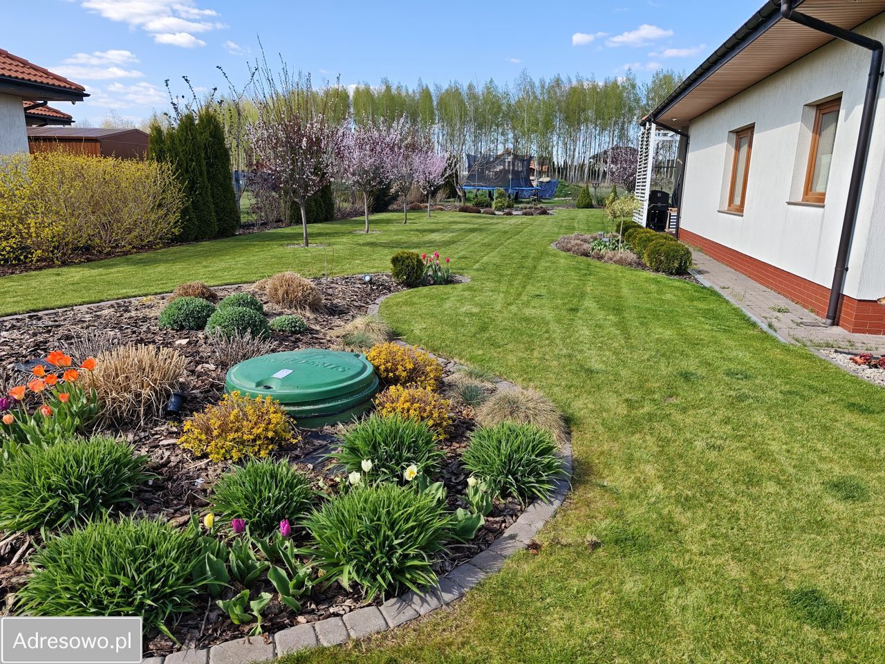 dom wolnostojący, 4 pokoje Wiączyń Dolny. Zdjęcie 5