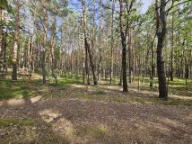 Działka inwestycyjna Warszawa Wesoła, ul. Prabucka. Zdjęcie 4