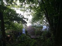 Działka rolna Knieja. Zdjęcie 3