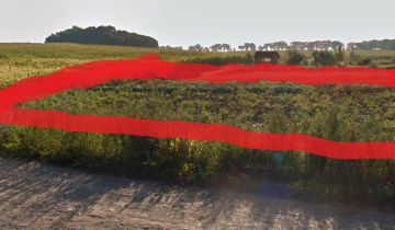 Działka rolno-budowlana Rogóźno-Zamek