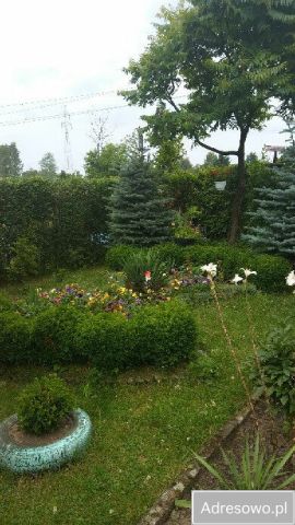 Działka rod Łódź Radogoszcz. Zdjęcie 1