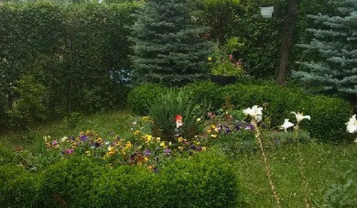 Działka rod Łódź Radogoszcz