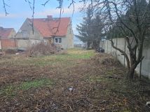 bliźniak Graniczna. Zdjęcie 4