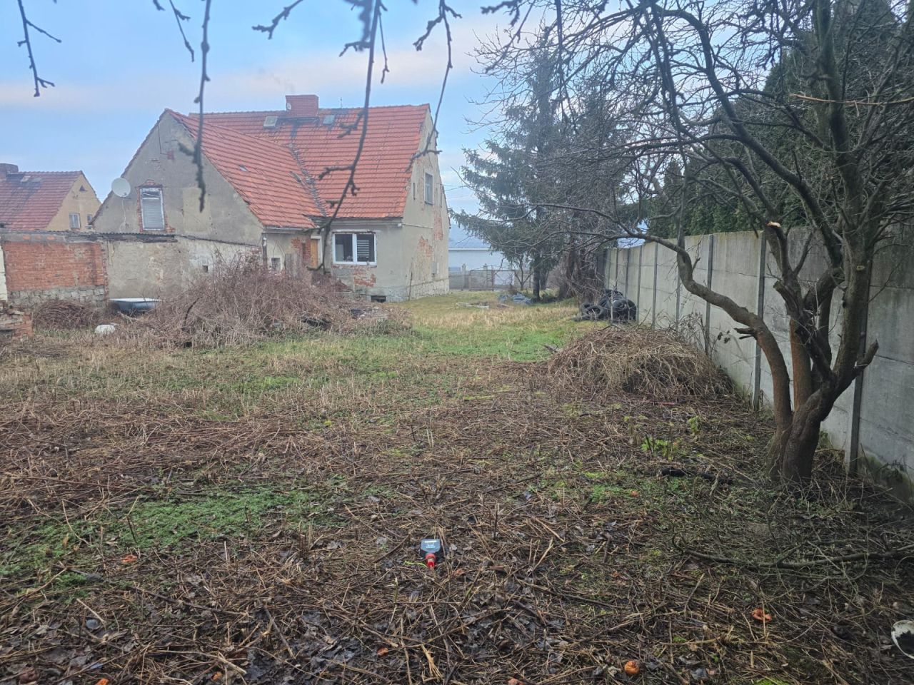 bliźniak Graniczna. Zdjęcie 5