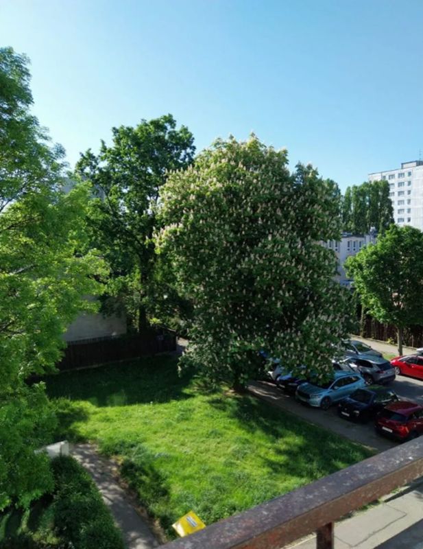 Mieszkanie 3-pokojowe Warszawa Targówek, ul. Olgierda. Zdjęcie 15