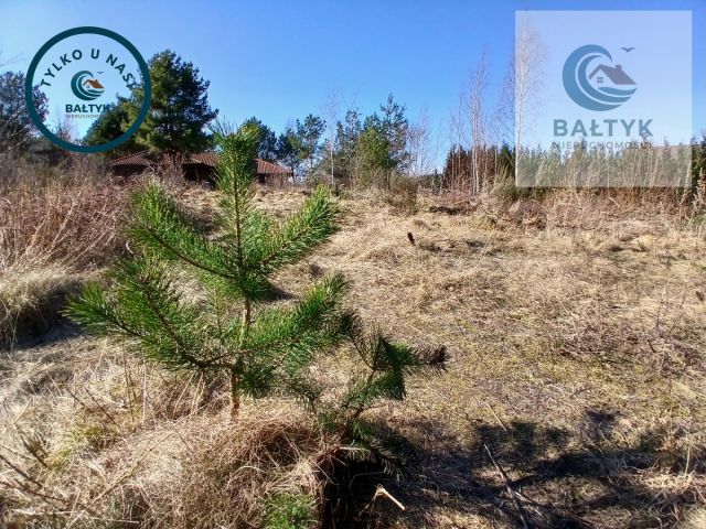 Działka budowlana Gowino. Zdjęcie 5