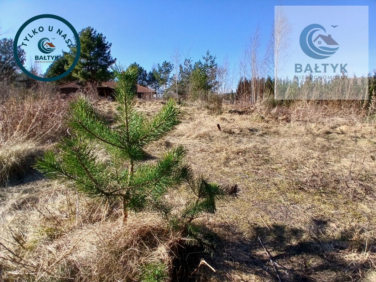 Działka budowlana Gowino. Zdjęcie 5