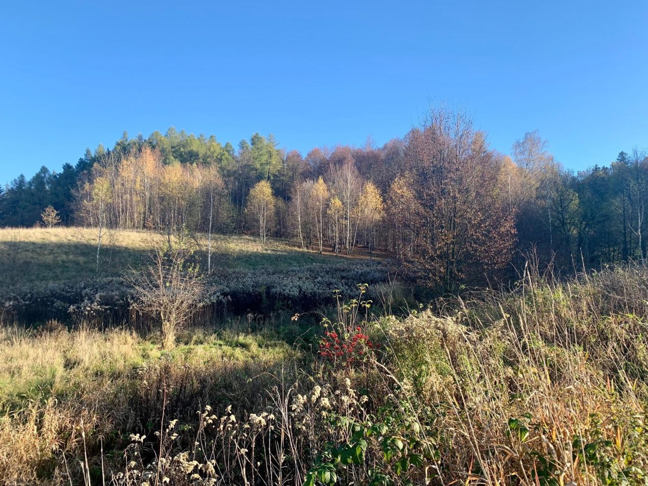 Działka budowlana Staniszów, ul. Zielona. Zdjęcie 4