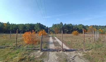 Działka budowlana Zielona Góra Chynów