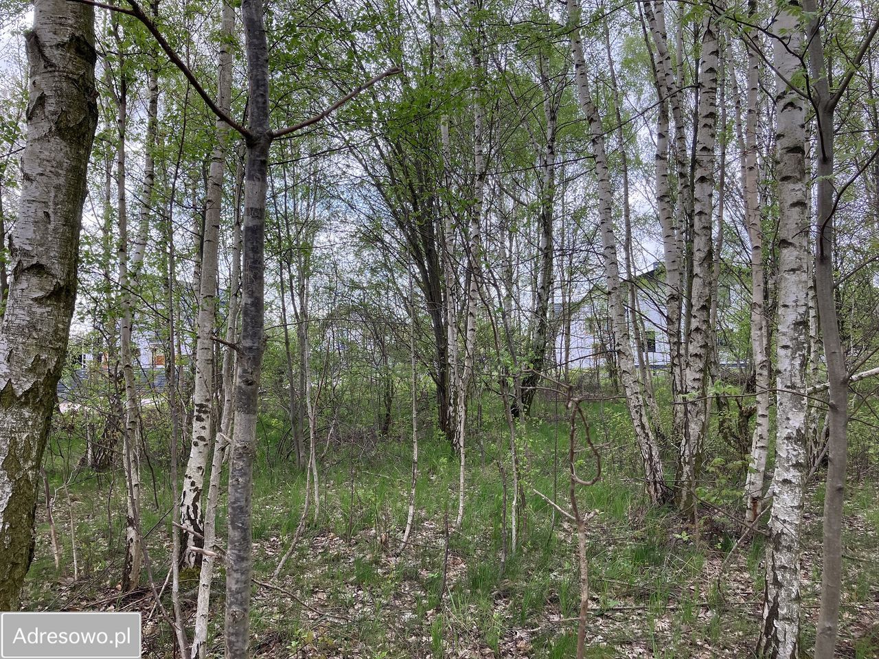 Działka budowlana Jagatowo, ul. Maślakowa. Zdjęcie 2