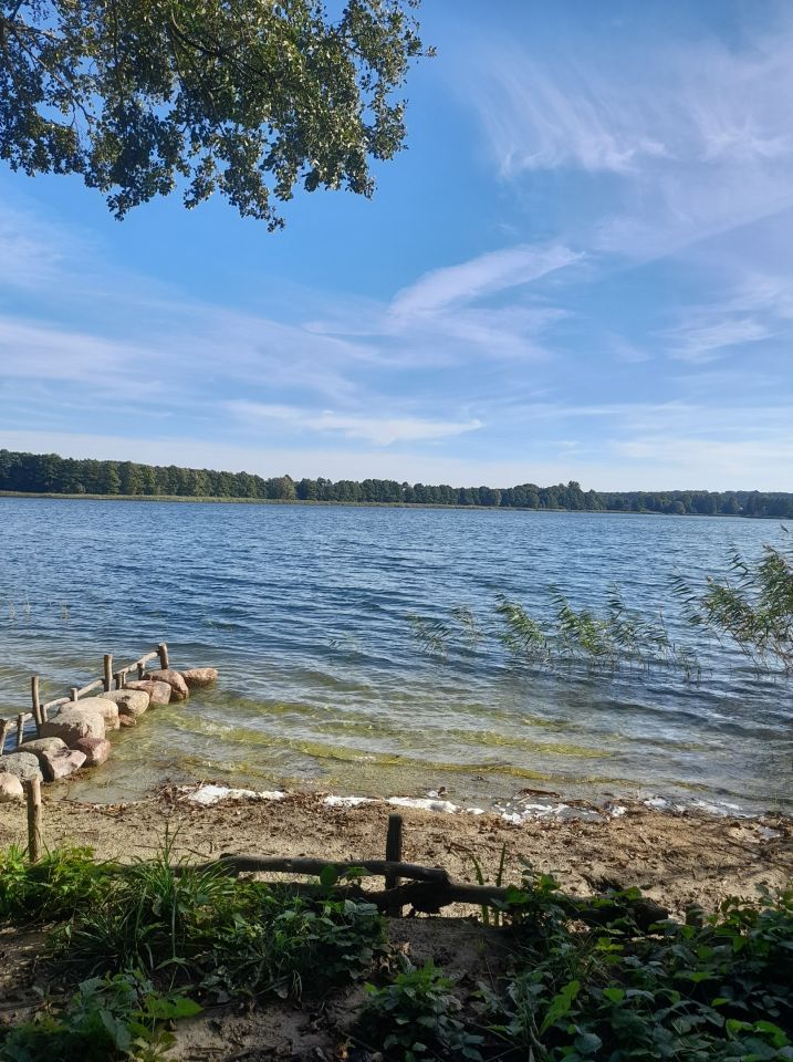 Działka rekreacyjna Morawy Albertowo. Zdjęcie 2