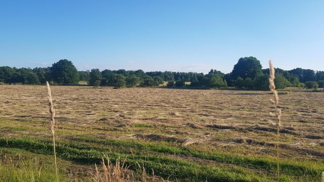 Działka budowlana Sarbsk, Sarbsk. Zdjęcie 13