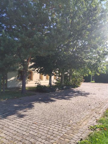 Nieruchomość komercyjna Przybyszów Korzeń. Zdjęcie 7