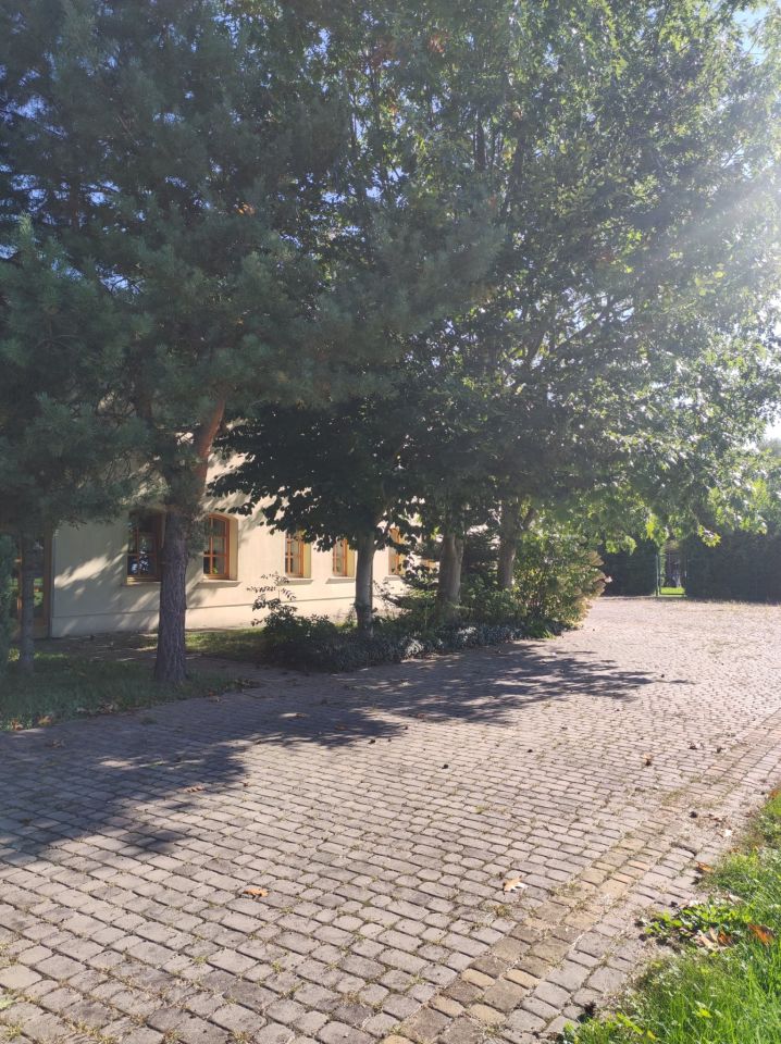 Nieruchomość komercyjna Przybyszów Korzeń. Zdjęcie 7