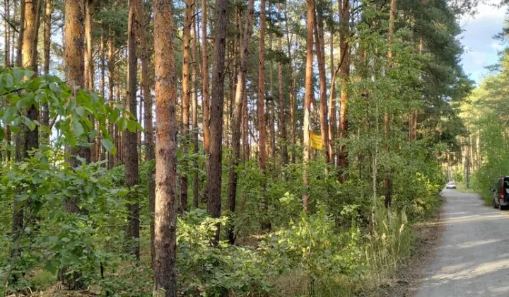 Działka Józefów, ul. Podleśna