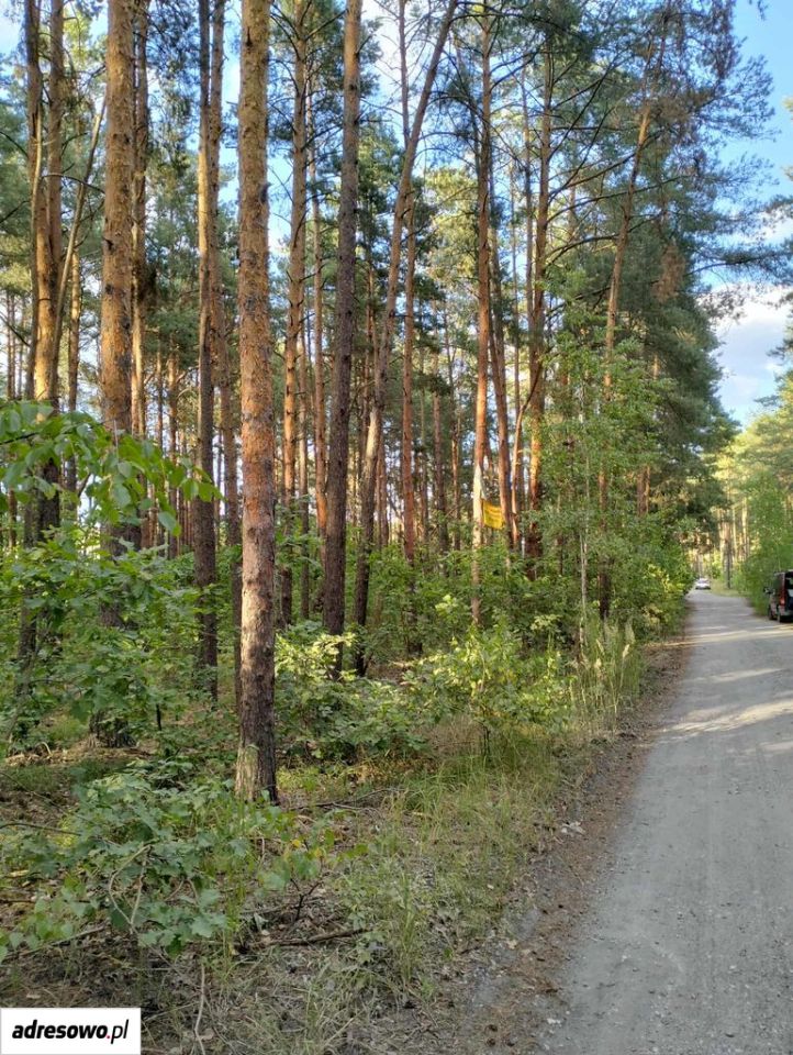 Działka Józefów, ul. Podleśna. Zdjęcie 1