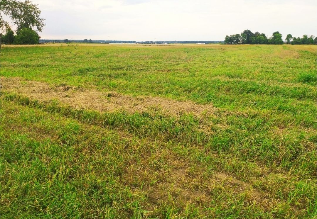 Działka budowlana Śladków Górny. Zdjęcie 3