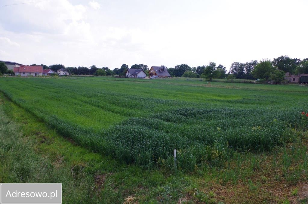 Działka budowlana Zawonia, ul. Szkolna. Zdjęcie 2