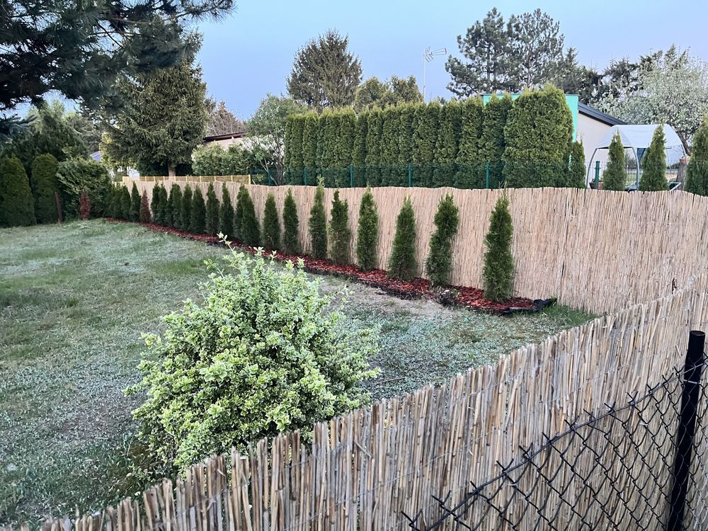 Działka rod Łódź Bałuty, ul. Olkuska