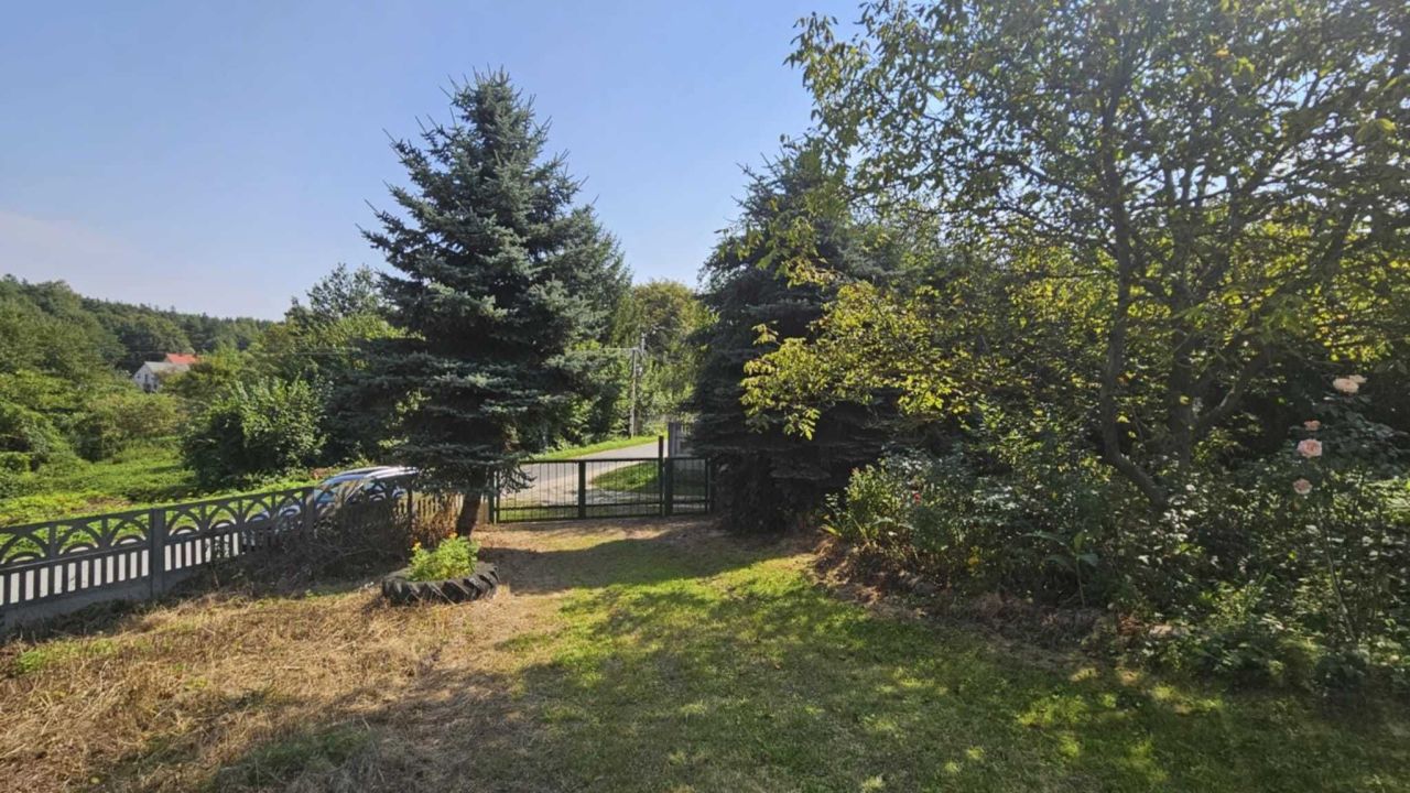 siedlisko Gorzakiew. Zdjęcie 4