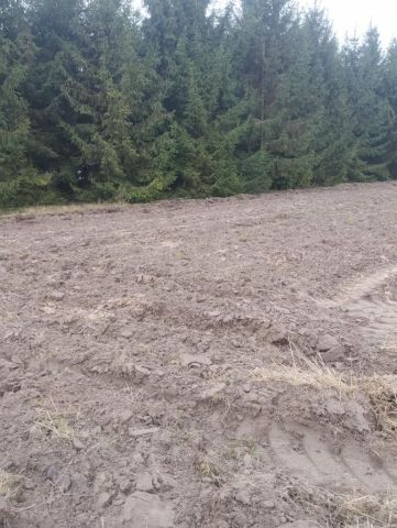 Działka rolna Rozkopaczew. Zdjęcie 1