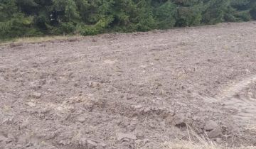 Działka rolna Rozkopaczew