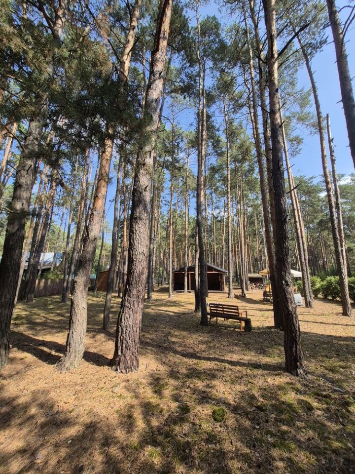 Działka budowlana Kępa Niemojewska. Zdjęcie 4