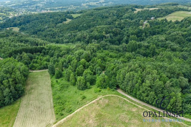 Działka leśna Straszydle. Zdjęcie 9