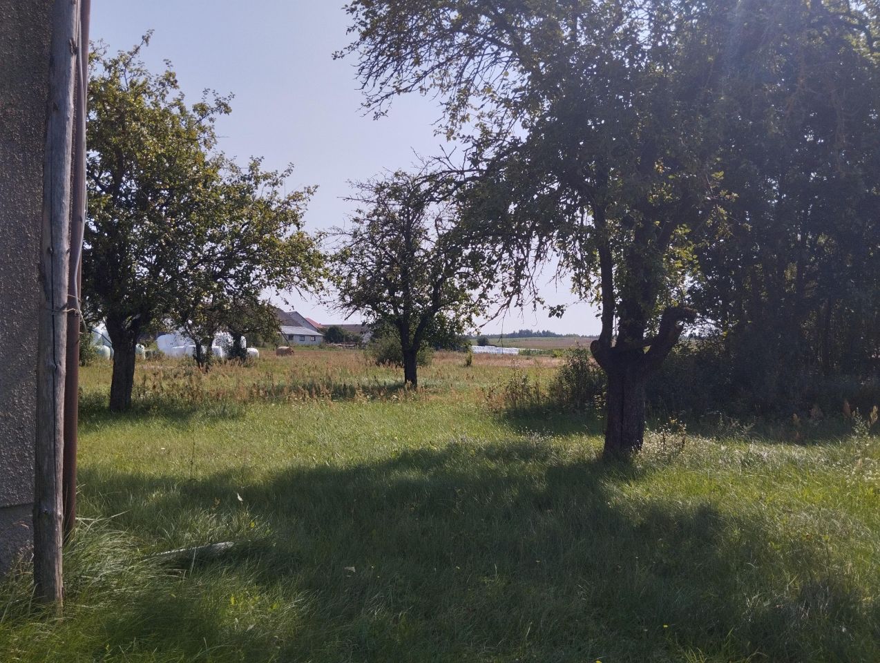 Działka siedliskowa Cisów. Zdjęcie 12