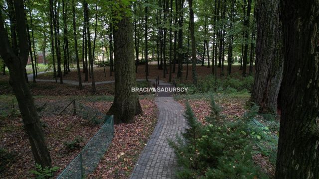 Działka inwestycyjna Słupiec. Zdjęcie 14