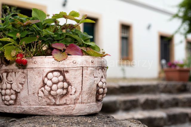 dom wolnostojący, 10 pokoi Dębowy Gaj. Zdjęcie 12