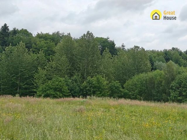 Działka inwestycyjna Golcowa. Zdjęcie 8