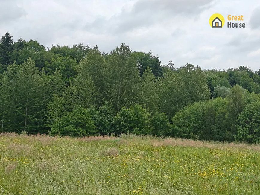 Działka inwestycyjna Golcowa. Zdjęcie 8