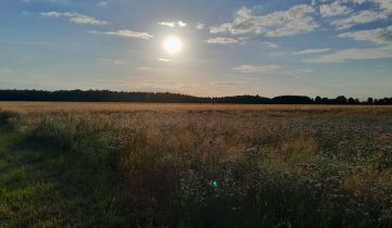 Działka rolno-budowlana Rzeczyca