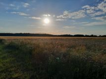 Działka rolno-budowlana Rzeczyca. Zdjęcie 1