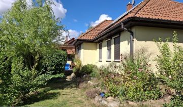 dom wolnostojący, 4 pokoje Morzęcin Wielki