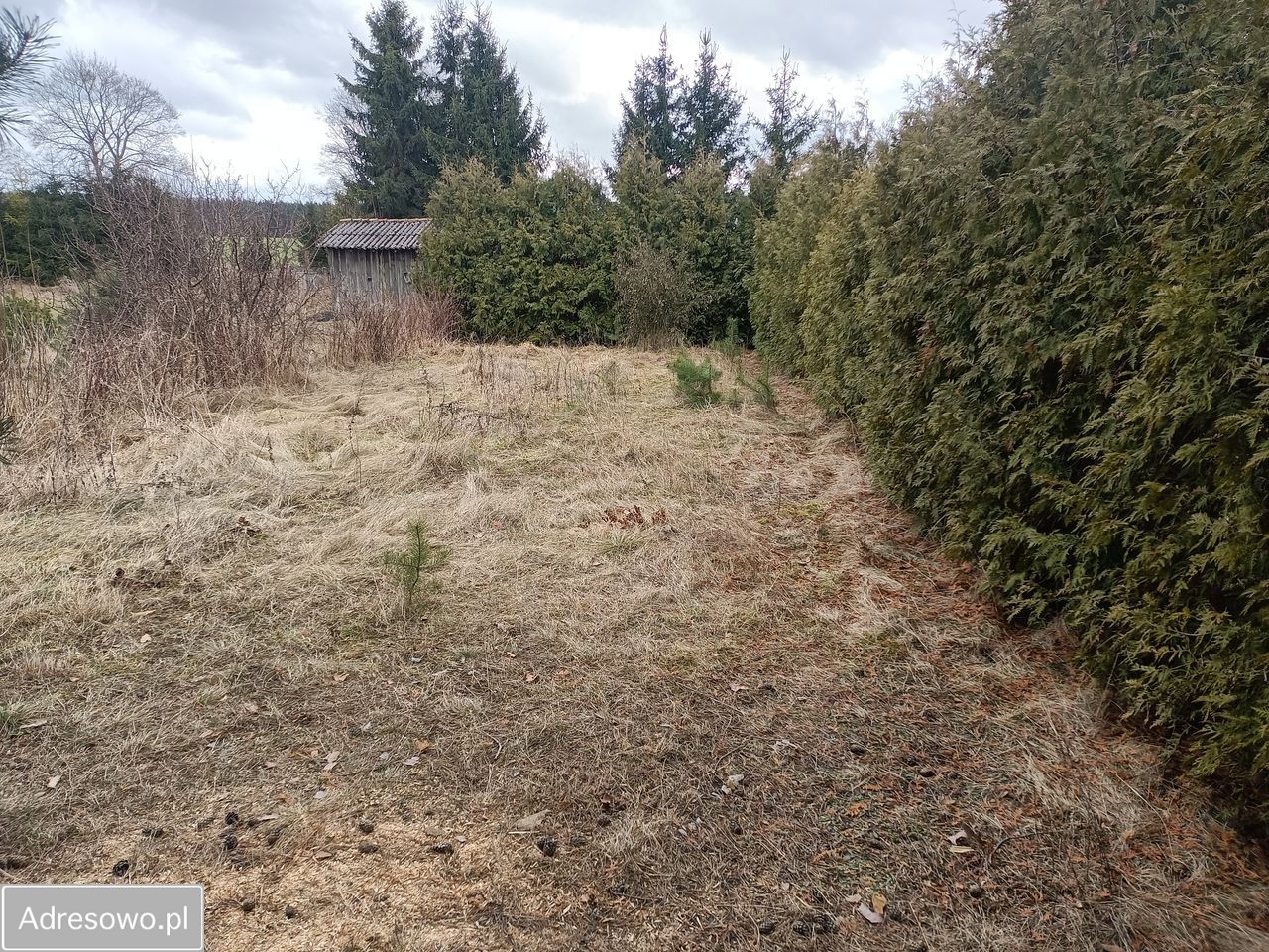 Mieszkanie 3-pokojowe Wyczechy. Zdjęcie 15