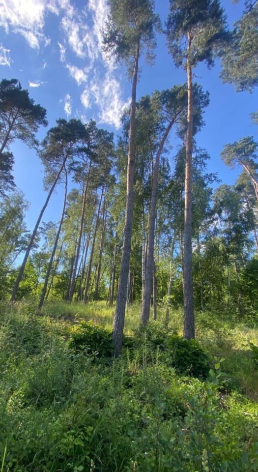 Działka rolno-budowlana Wiele, Brak. Zdjęcie 7