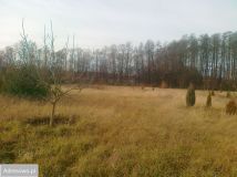 Działka rolna Chrzypsko Małe. Zdjęcie 3