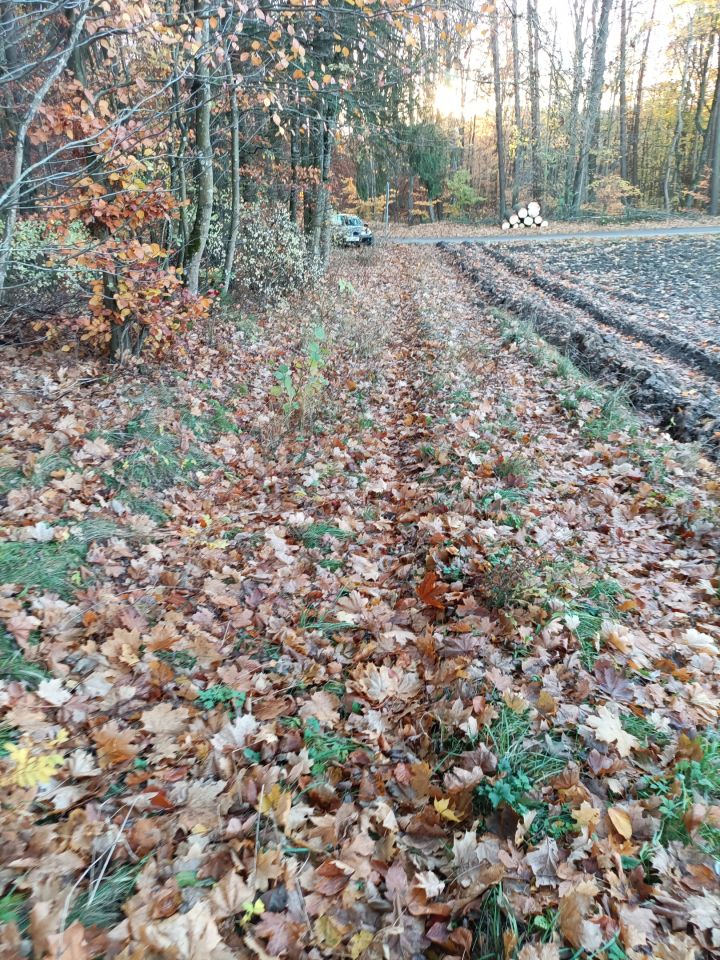 Działka rolno-budowlana Niedamowo. Zdjęcie 30