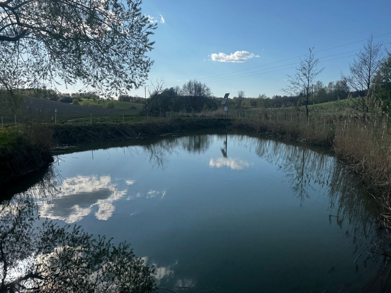 Działka rolno-budowlana Błędowa Zgłobieńska. Zdjęcie 12