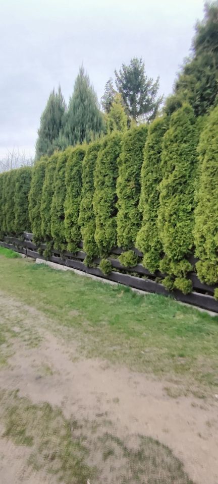 Działka rod Poznań Ławica, ul. Złotowska. Zdjęcie 7