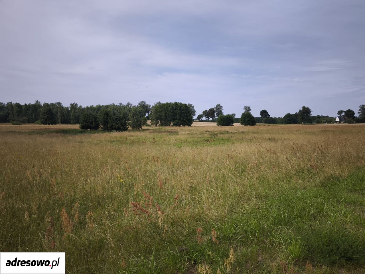 Działka rolno-budowlana Barkowo. Zdjęcie 3